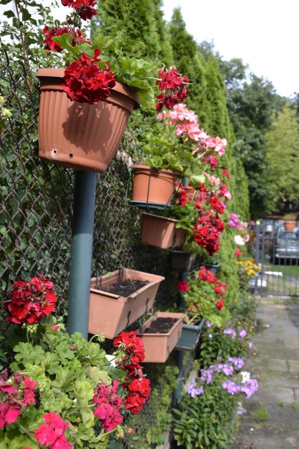 Warszawa Stare Bielany Bed & Breakfast Exterior photo